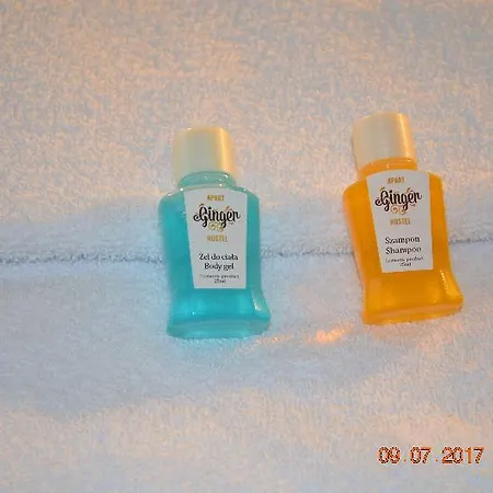 Ginger Aparthostel *