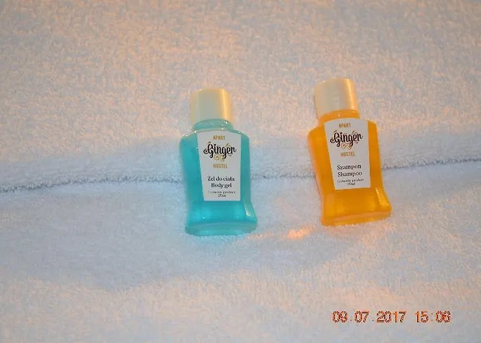 Ginger Aparthostel *